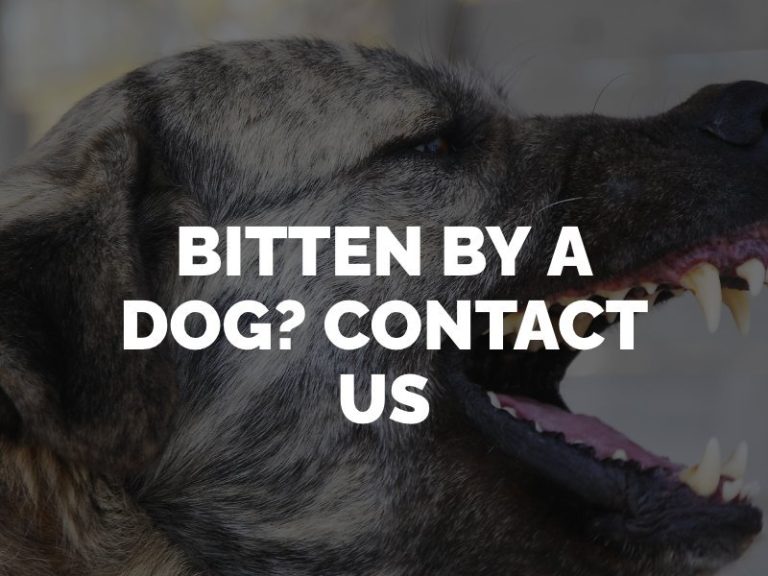 Los Angeles Dog Bite Attorney