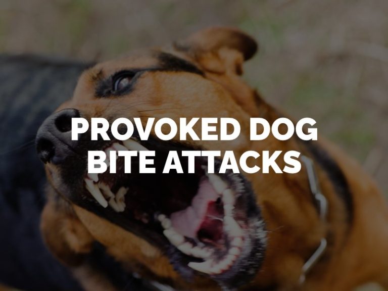 What Happens if Your Dog is Provoked and Attacks Someone?